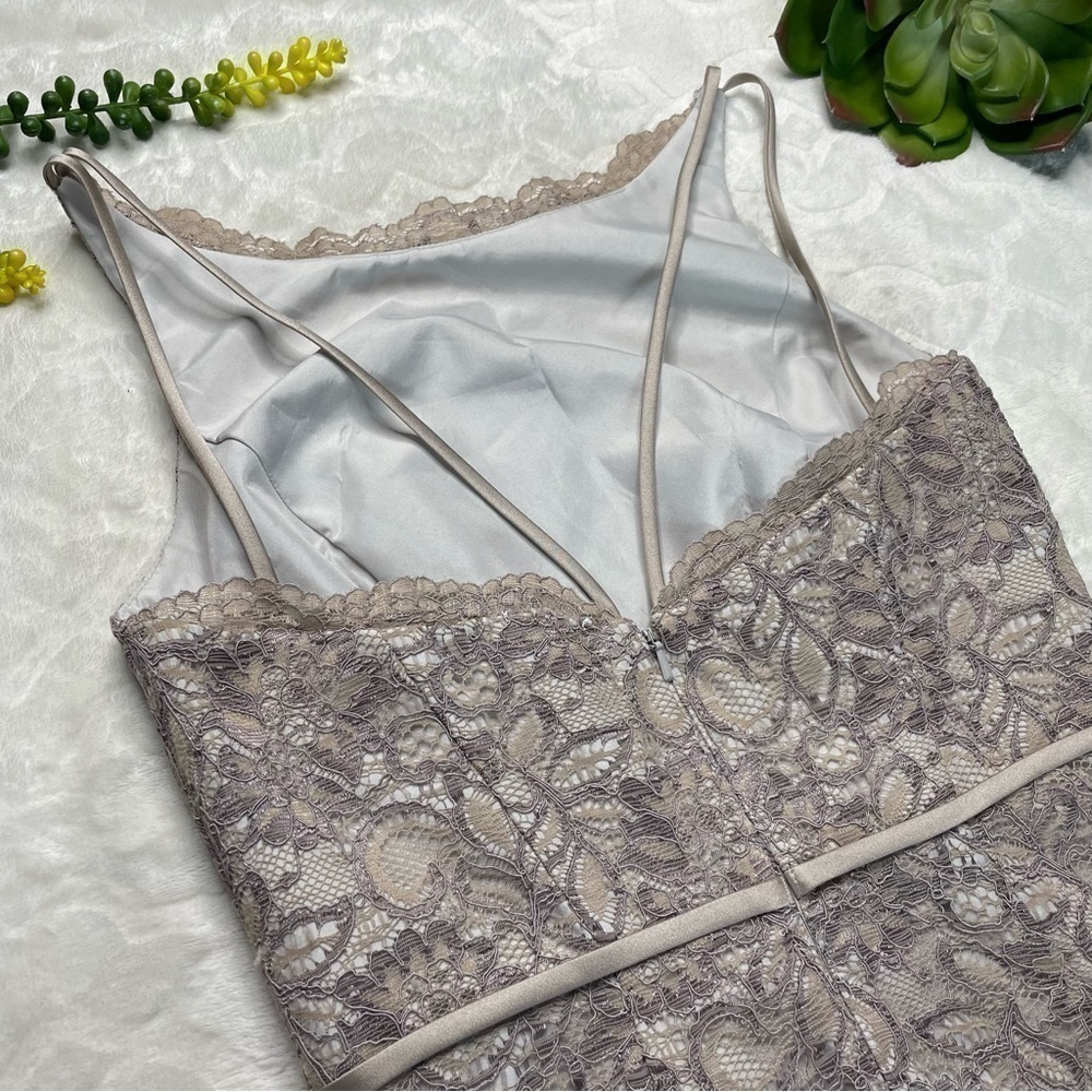 Zac Posen Truly Guipure Lace Sleeveless Special Occasion Dress in Gray Silver 2 - Picture 8 of 16